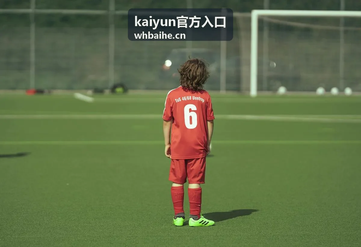 kaiyun官方入口访问核对场景示意