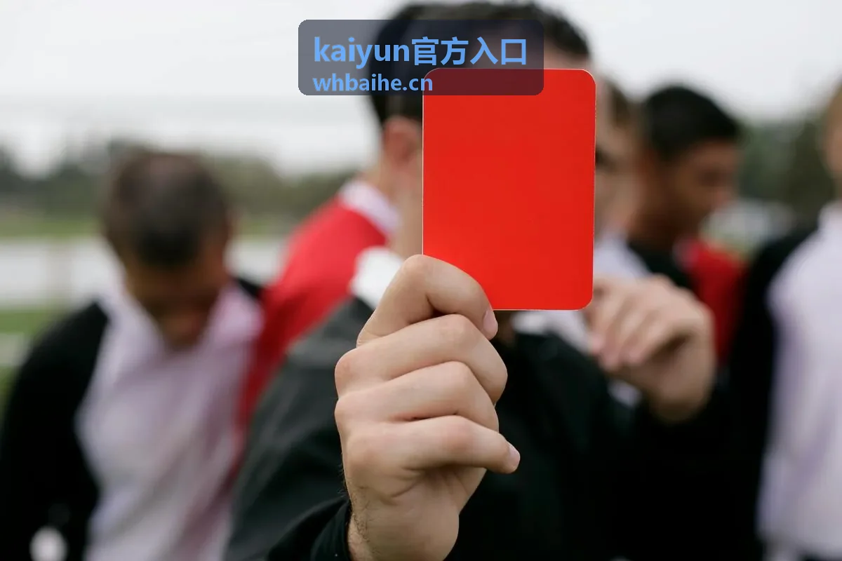 kaiyun官方入口页面信息核对示意